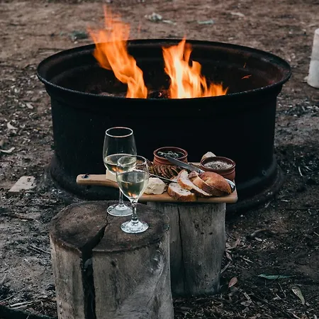 Landgoed Scholten Linde Lodge Rossum (Overijssel)