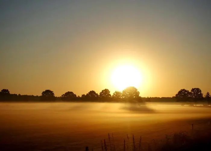 Landgoed Scholten Linde بيت خشبي