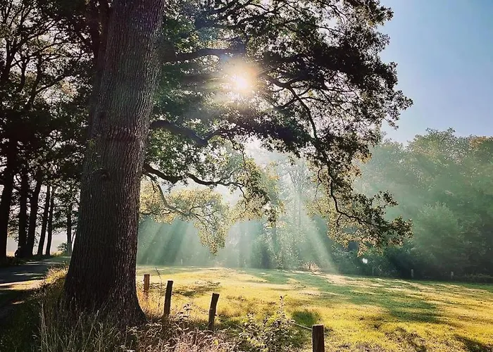 Landgoed Scholten Linde *